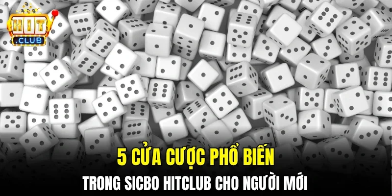 5 cửa cược phổ biến trong Sicbo Hitclub cho người mới